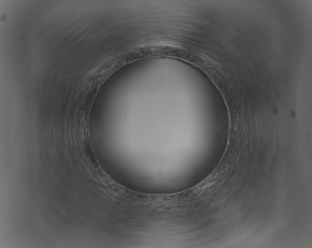 X0000071831014200606301030