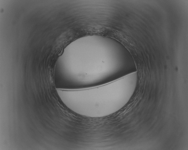 X0000071831058200606301030