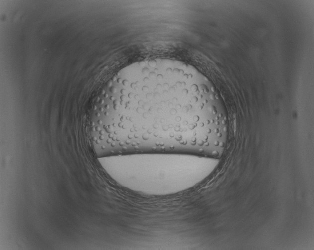 X0000071831059200606301030