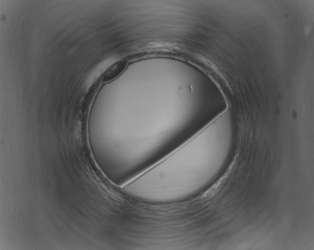 X0000071831066200606301030