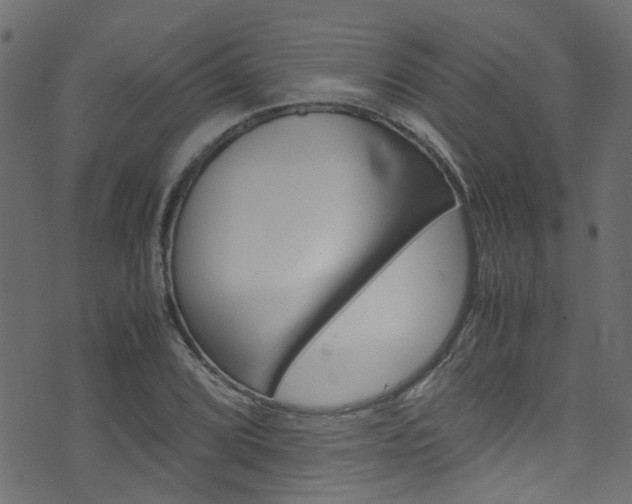 X0000071831072200606301029