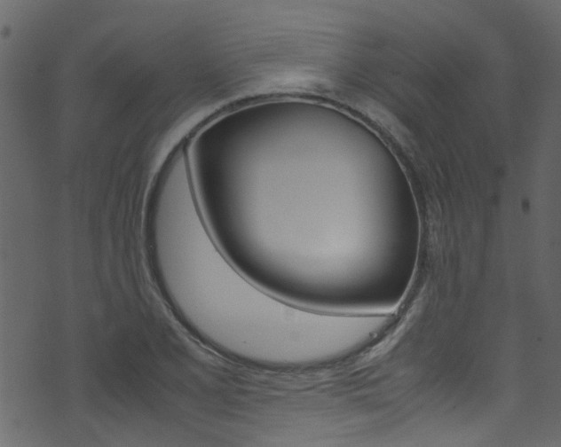 X0000071831077200606301029