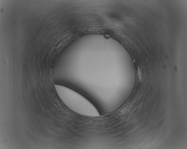 X0000071831107200606301028