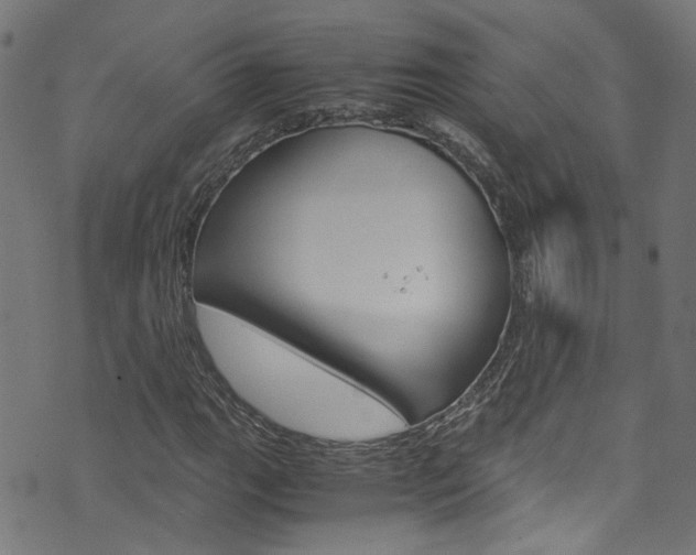 X0000071831111200606301028