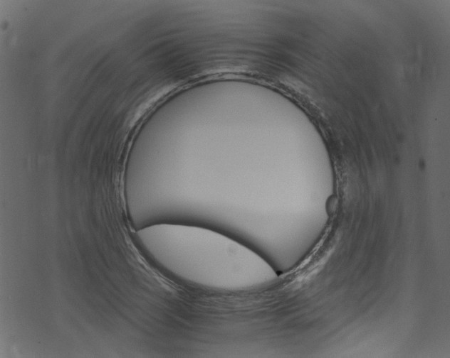 X0000071831121200606301028