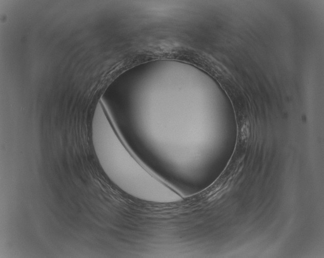 X0000071831156200606301028