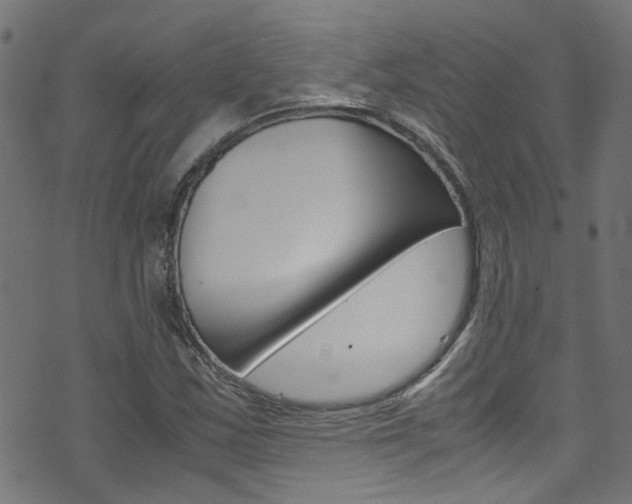 X0000071831163200606301028