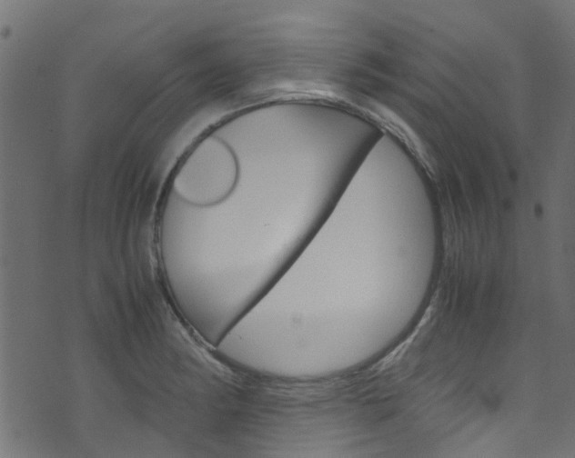 X0000071831182200606301028