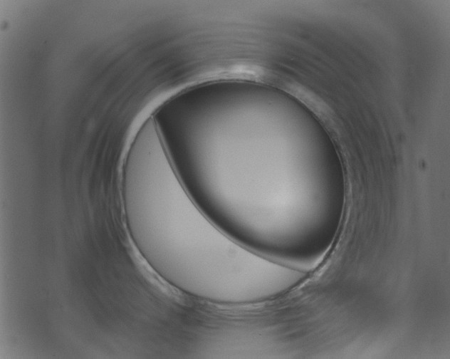 X0000071831200200606301027