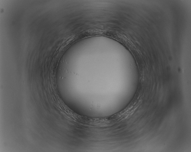 X0000071831201200606301027