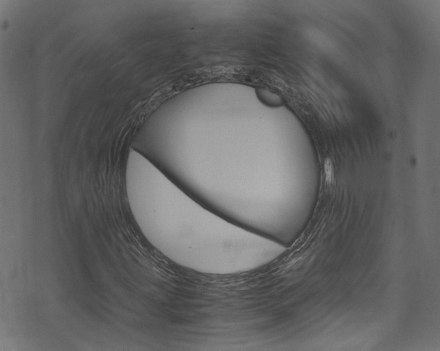 X0000071831203200606301027