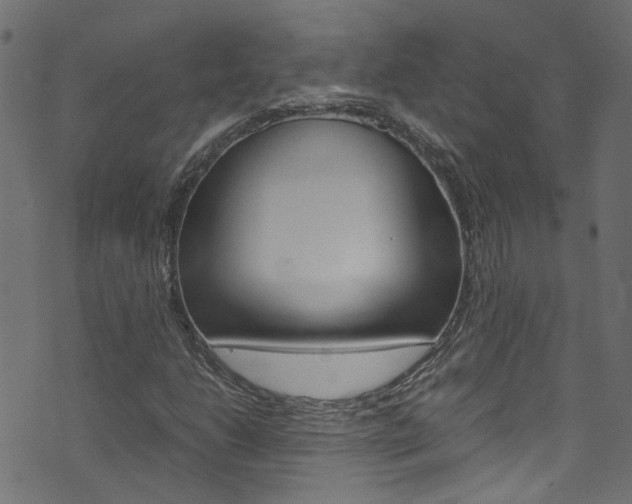 X0000071831206200606301027
