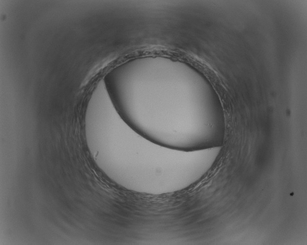 X0000071831207200606301027