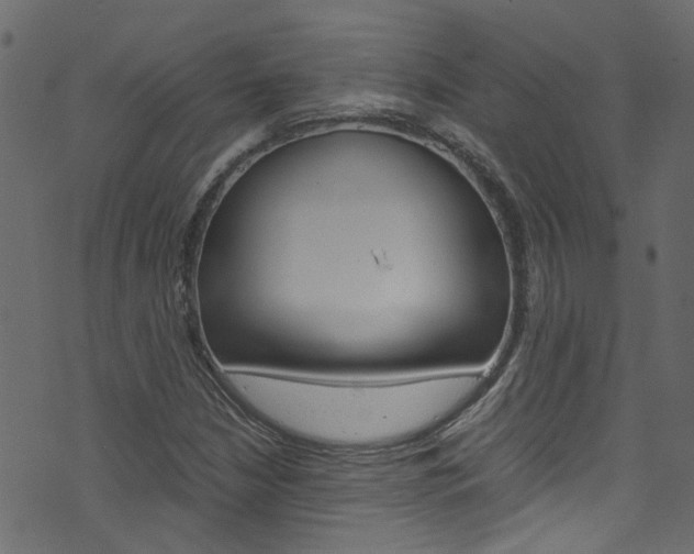 X0000071831210200606301027