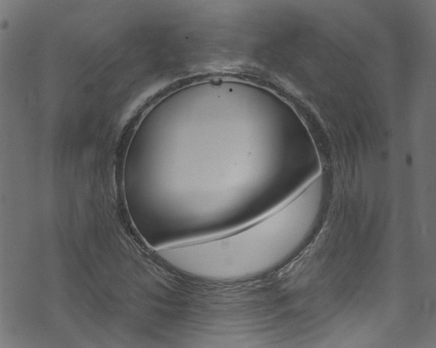 X0000071831214200606301027