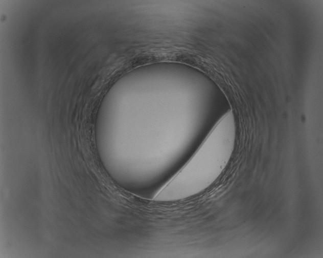 X0000071831249200606301027