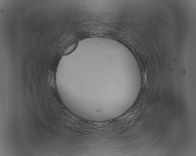 X0000071831251200606301027