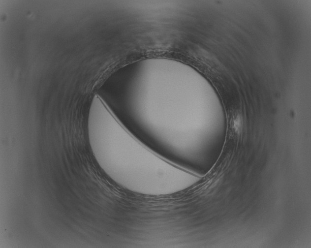 X0000071831252200606301027