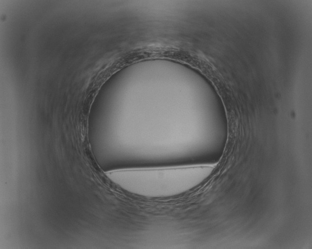 X0000071831253200606301027