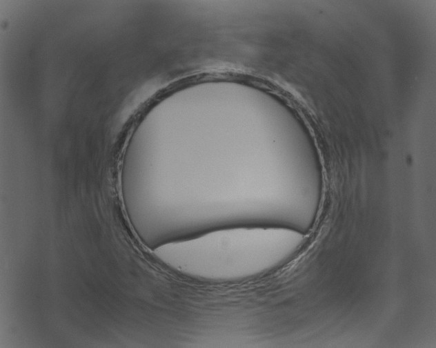 X0000071831263200606301026