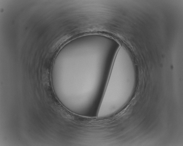 X0000071831265200606301026