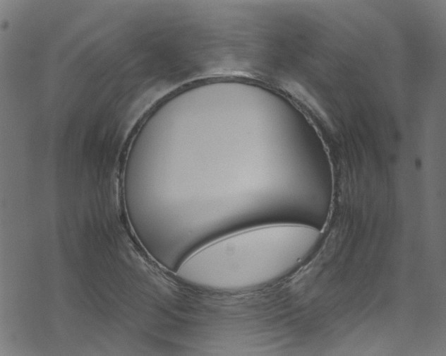 X0000071831268200606301026