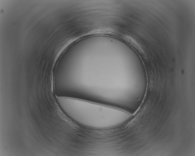 X0000071831276200606301026