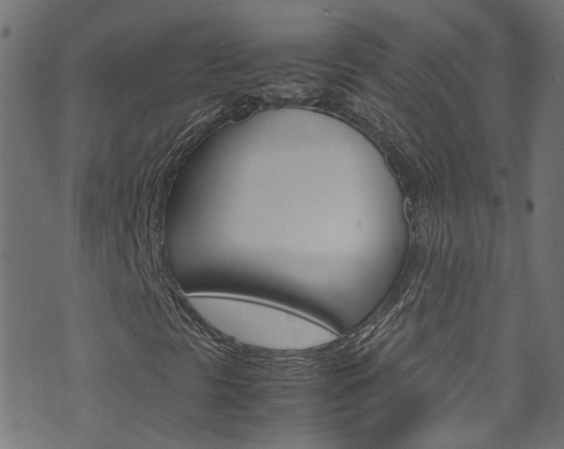 X0000071831297200606301025