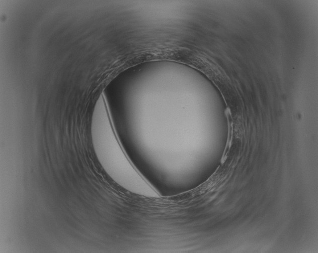 X0000071831298200606301025