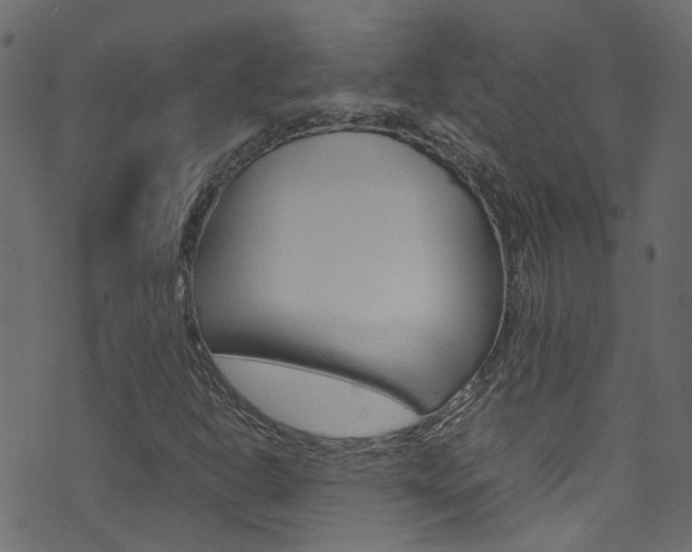 X0000071831302200606301025
