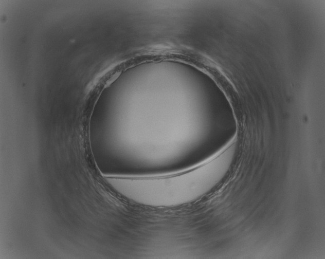 X0000071831304200606301025