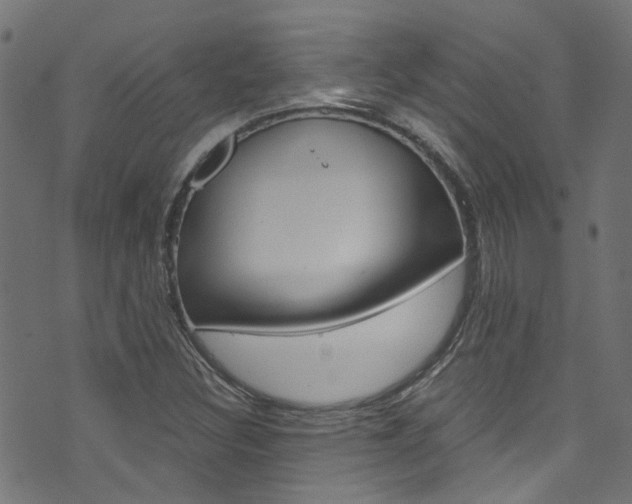 X0000071831308200606301025
