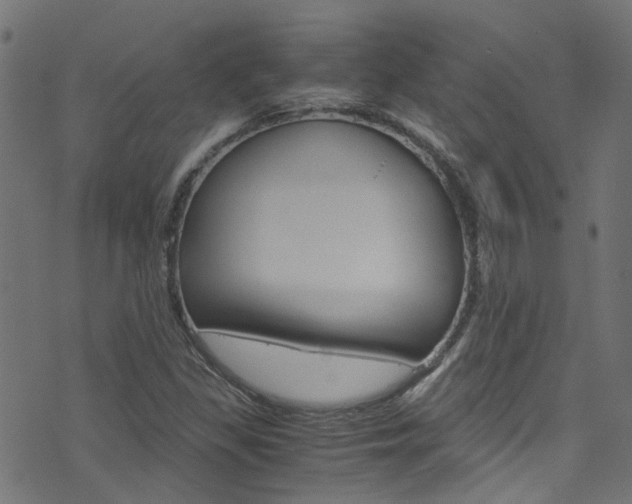 X0000071831309200606301025