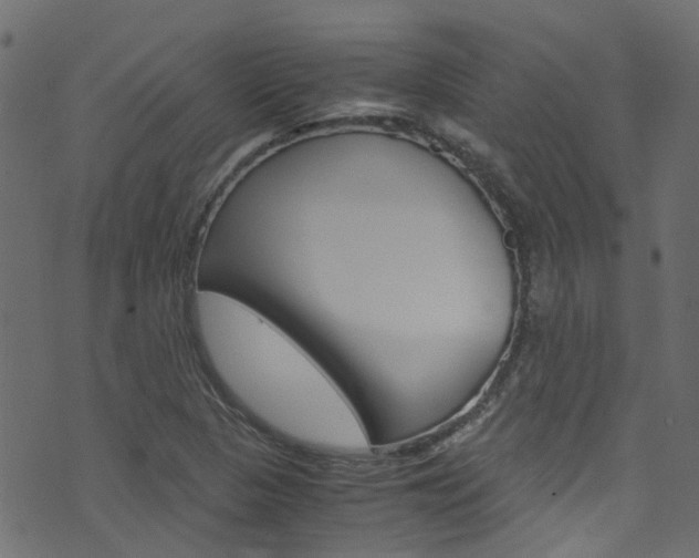 X0000071831313200606301025