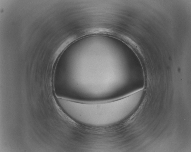 X0000071831330200606301026