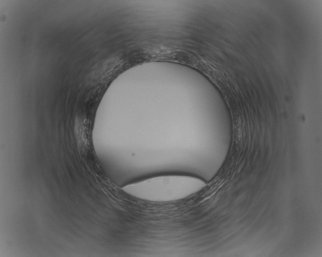 X0000071831346200606301025