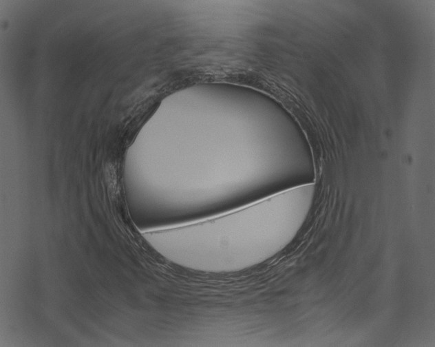 X0000071831347200606301025
