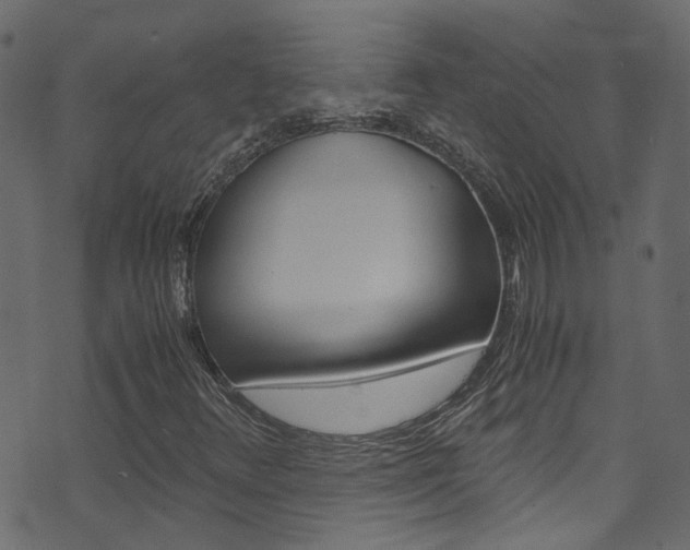 X0000071831348200606301025