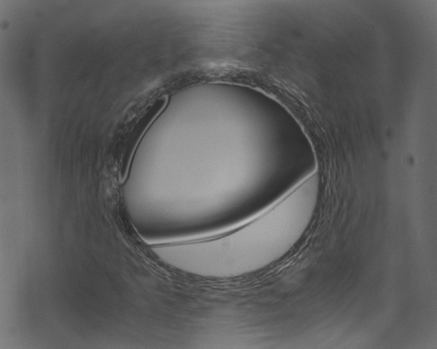 X0000071831349200606301025
