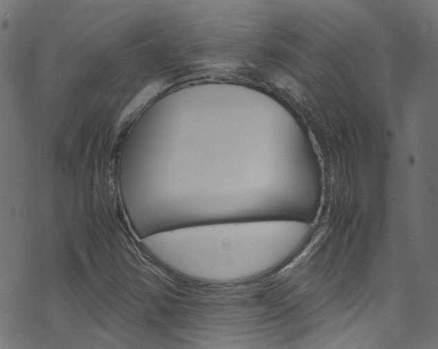 X0000071831354200606301025
