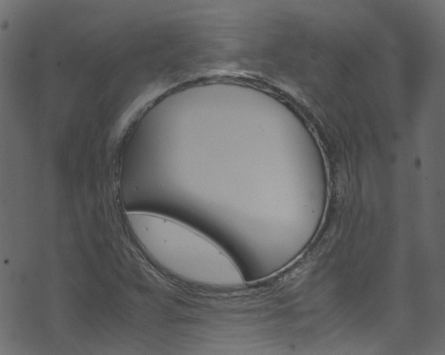X0000071831359200606301025