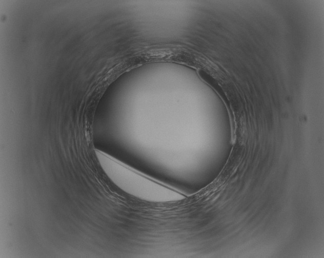 X0000071831394200606301024