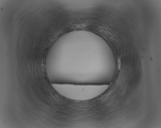 X0000071831395200606301024