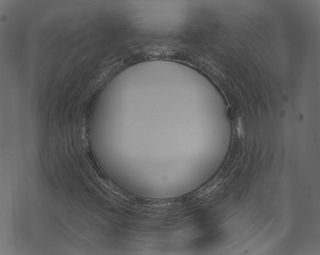 X0000071831396200606301024