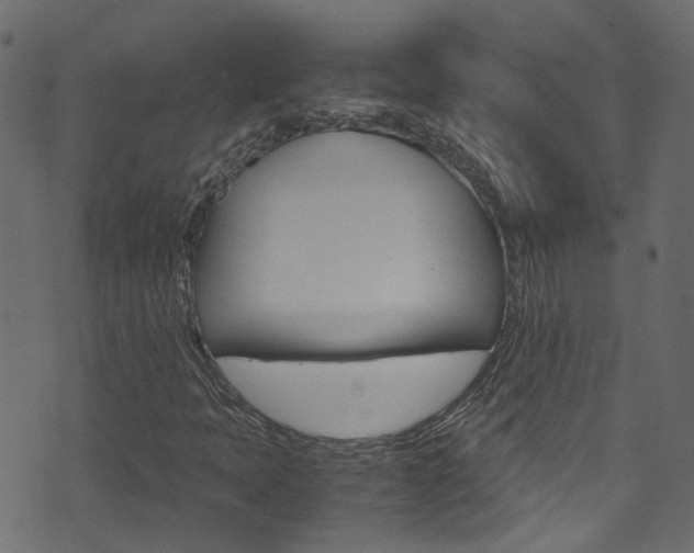 X0000071831397200606301024