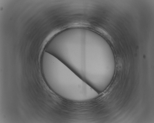 X0000071831419200606301024