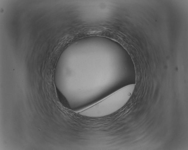 X0000071831441200606301024