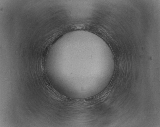 X0000071831442200606301024