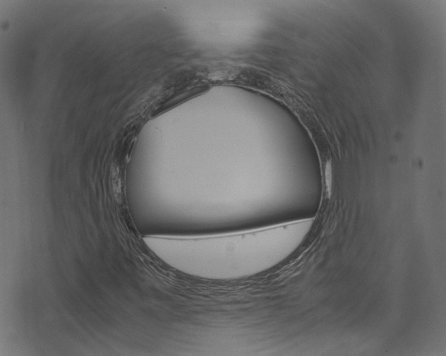 X0000071831443200606301023