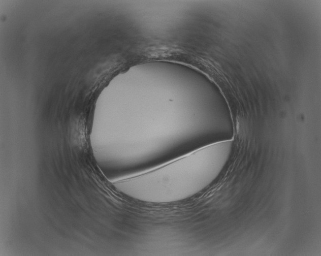 X0000071831444200606301023